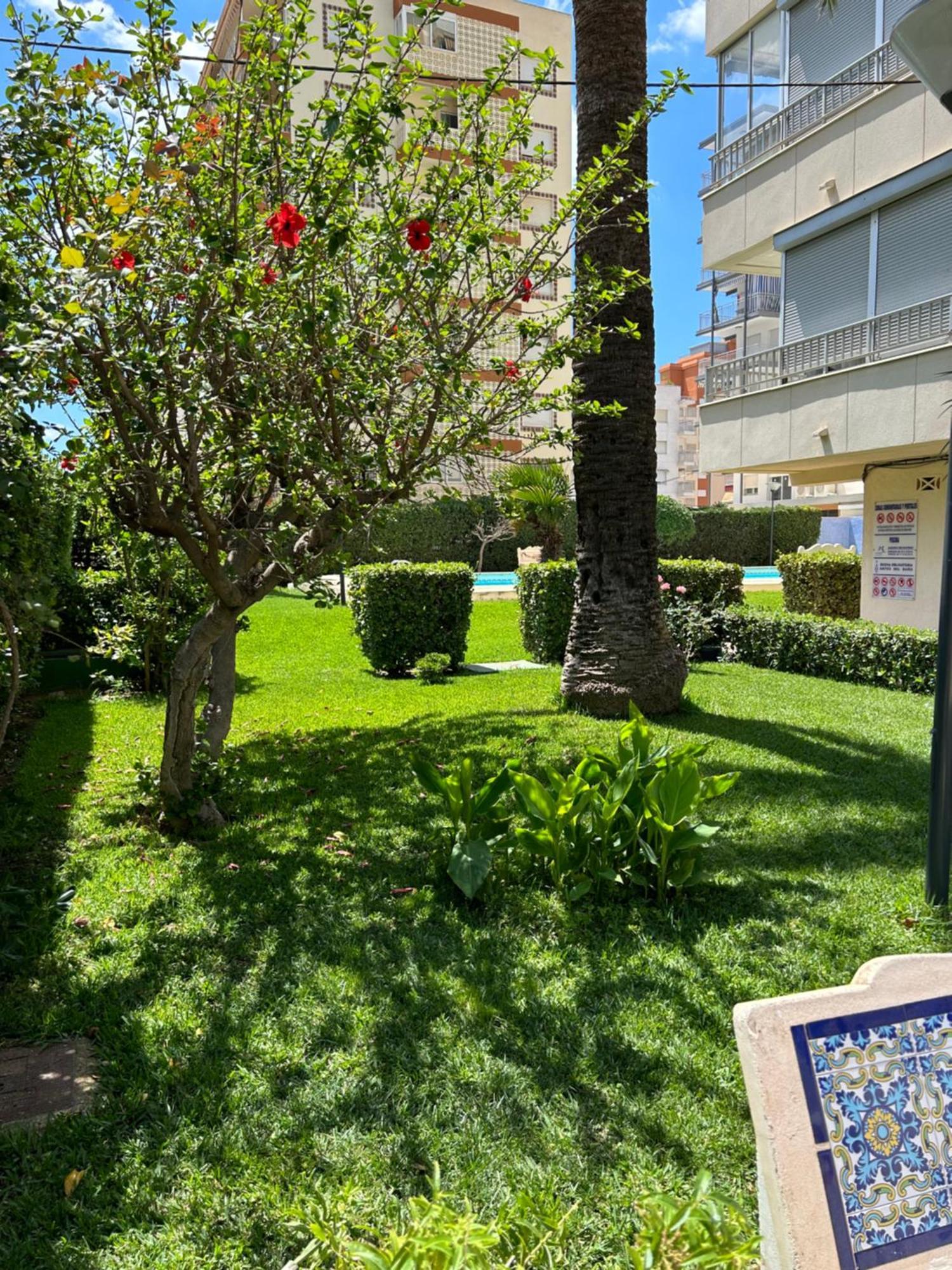 Apartamento Gandia Playa 150M Playa Con Parking Privado Y Piscina Playa de Gandia Exterior photo